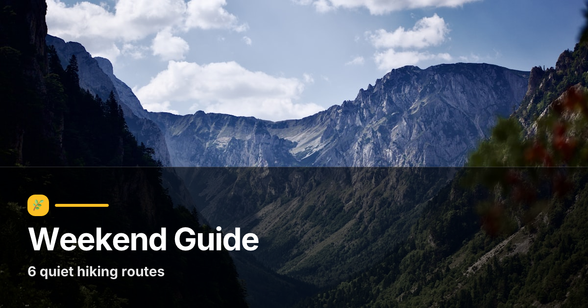 Photo caption story card